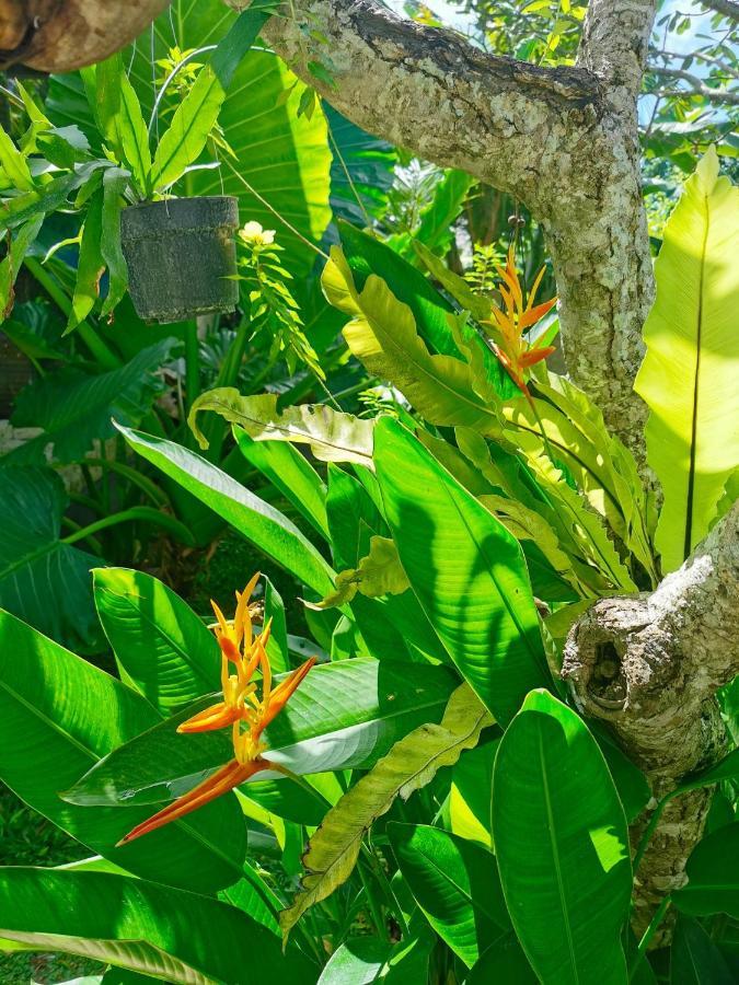 Artoria Dream Villas Bali Nusa Dua  Ngoại thất bức ảnh
